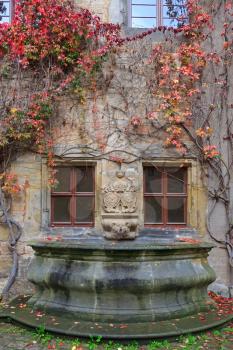House wall, fountain with colorful vines and autumn leaves in Germany

