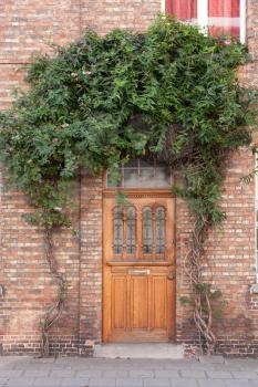 Closed door with vines on the street in Bruges, Belgium
