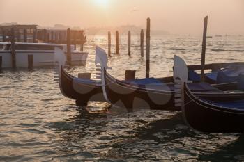 Venetian gondolas at sunrise in venice, Italy
