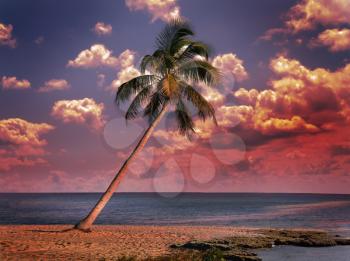 Royalty Free Photo of a Tropical Beach at Sunset