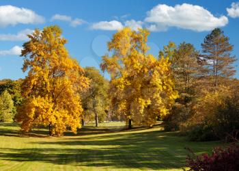 Royalty Free Photo of an Autumn Park