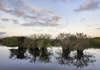 Royalty Free Photo of a River at Sunset