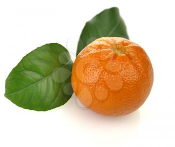 Royalty Free Photo of an Orange