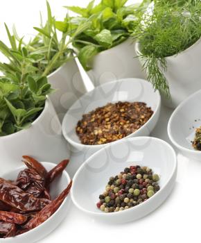 Herbs And Spices Assortment In White Dish