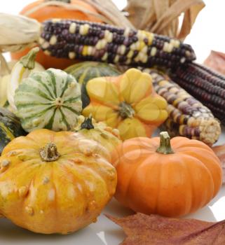 Mini Pumpkins And Indian Corn ,Close Up