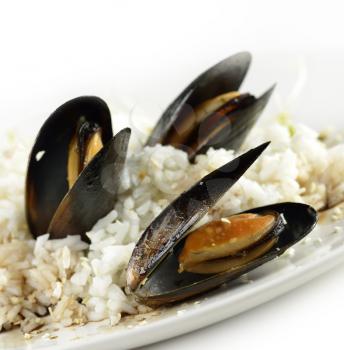 Cooked Mussels With  Sauce And Rice