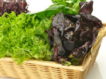 fresh salad leaves assortment in a basket 