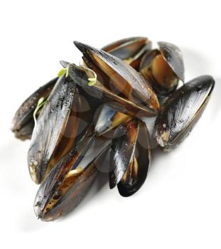 Cooked Mussels,Close Up Shot