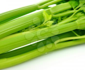 celery , close up