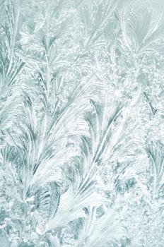 frozen window background