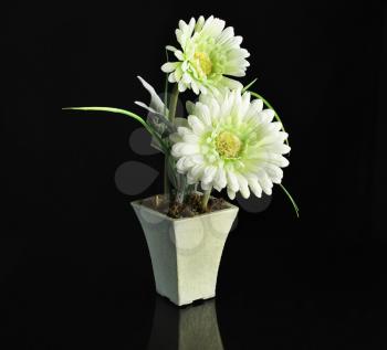 white decorative flowers on black background