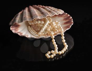 pearl into a shellfish on black background
