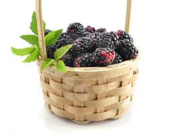 blackberries in a basket on white background