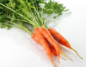 fresh carrots with green leaves on white background