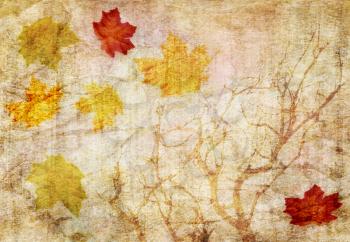grunge abstract fall  background 