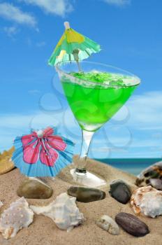seashells and  cocktail on the sand of a beach 

