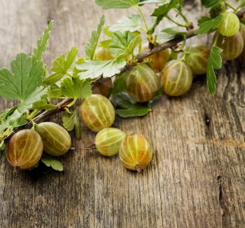 Gooseberries On Wooden Surface,Close Up