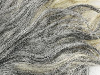 Grey  Hair Texture For Background