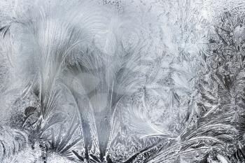 Ice Patterns On A Winter Window,Close Up