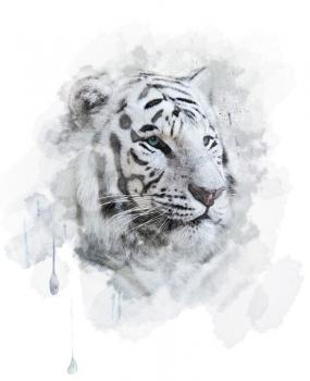 White Tiger Portrait. Digital Painting