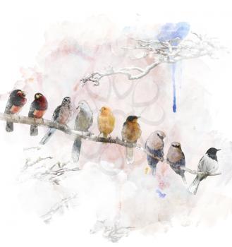 Watercolor Digital Painting Of   Perching Birds