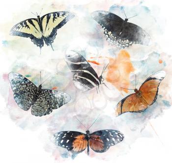 Watercolor Digital Painting Of  Butterflies