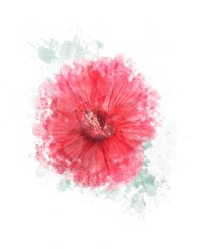 Watercolor Digital Painting Of Hibiscus Flower