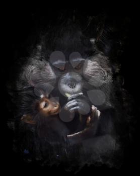 Watercolor Digital Painting Of  Mother And Baby Monkey (Black crested mangabey)