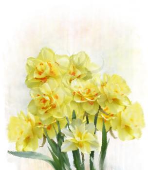 Digital Painting Of Yellow Daffodil Flowers 