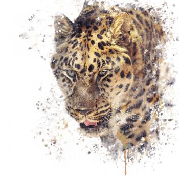 Digital painting of Leopard portrait