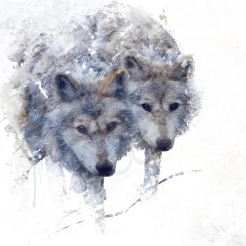 Digital Painting Of Two wolves 