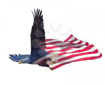 Double exposure effect of north american bald eagle on american flag.
