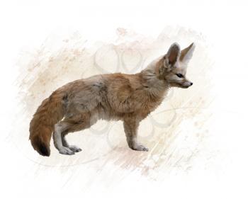 Digital Painting of Fennec Fox