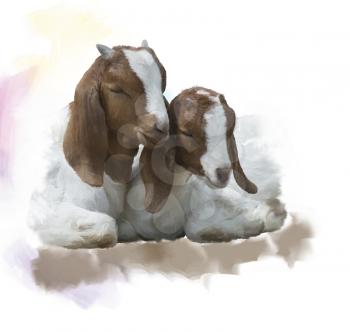 Digital Painting of  Young Boer goats