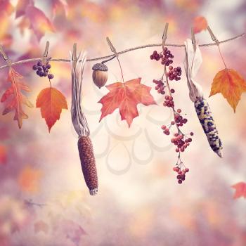 Autumn composition on colorful leaves background