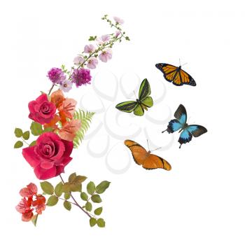 Butterflies and flowers arrangement isolated on white background