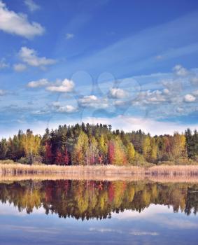 autumn landscape with colorful trees near lake with reflection