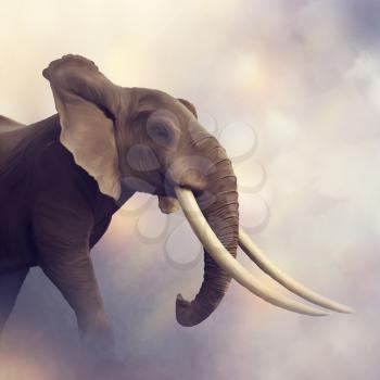 African Elephant Portrait .Digital painting
