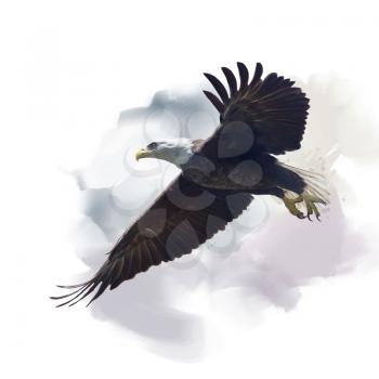 american bald eagle in flight ,watercolor painting