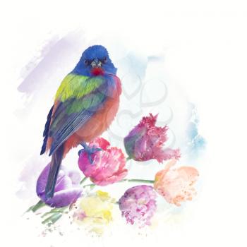 Male Painted Bunting with tulips, watercolor painting