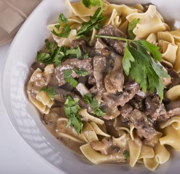 Beef Stroganoff with Egg Noodles,top view
