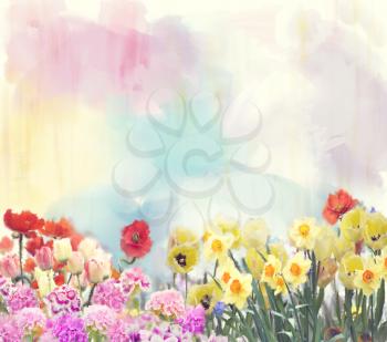 Colorful Watercolor flowers. Digital illustration.