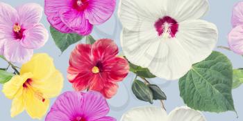 Seamless floral design with hibiscus flowers for background, Endless pattern.Watercolor illustration.