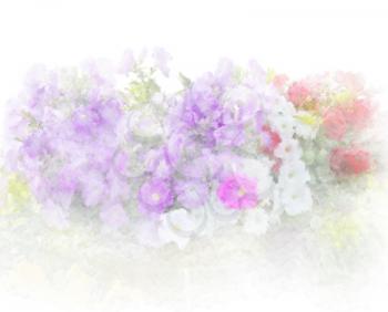 Petunia flowers watercolor digital painting