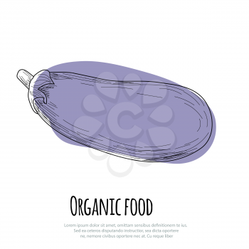 Hand drawn eggplant over white background. Vector
