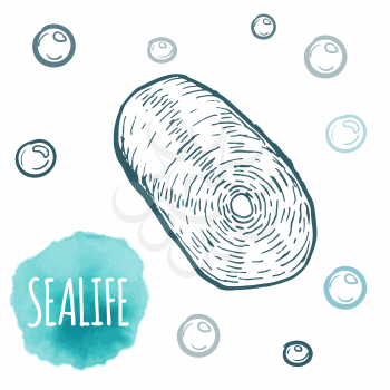 Seashell collection hand drawn aquatic doodle vector illustration. Sketch. Ocean life.