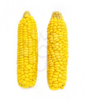 Ear of corn isolated on white 