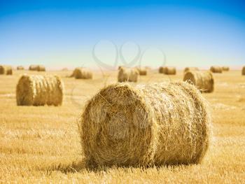 Straw bales in a field with blue sky 
