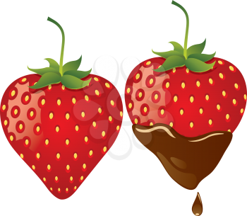 Strawberry in chocolate.
EPS10. Contains transparent objects used for shadows drawing.