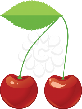 Two red ripe cherries on a shank 